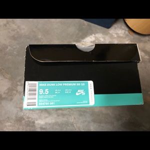 Size 9.5 Nike SB “Disposable” worn once